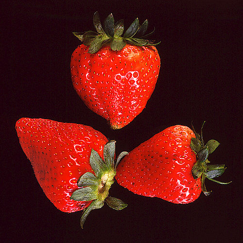 Torsten Baumannn Fotografie, Erdbeeren